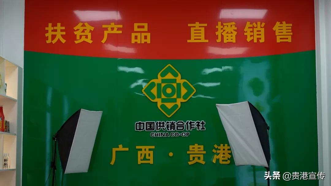 市供销合作社三农服务中心助增收,我为农民办实事