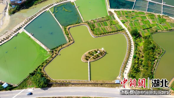 湖北十堰郧阳区美丽乡村房子照片,湖北十堰市郧阳区美丽乡村