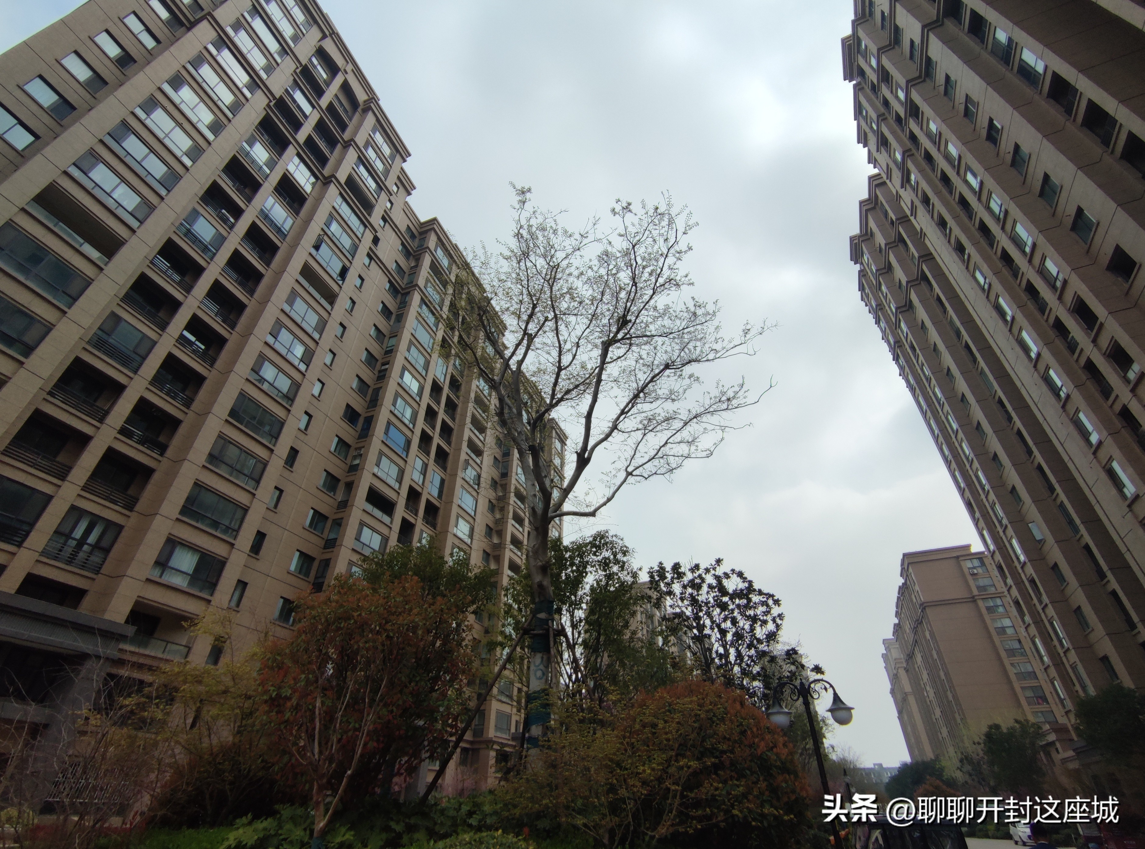 鼎立国际城实景现房,鼎立国际城H区