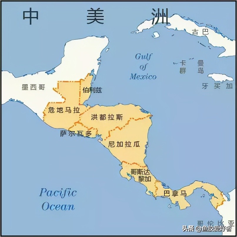 正宗即食鱼胶哪里有,鱼胶是哪个国家产的最好