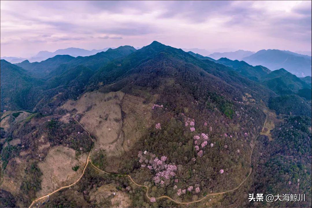 诗仙李白最有仙气的十首诗,李白为什么这么有才