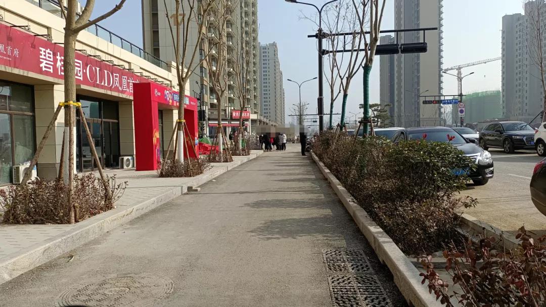 济南碧桂园凤凰首府属于什么档次,济南碧桂园凤凰首府几个地块