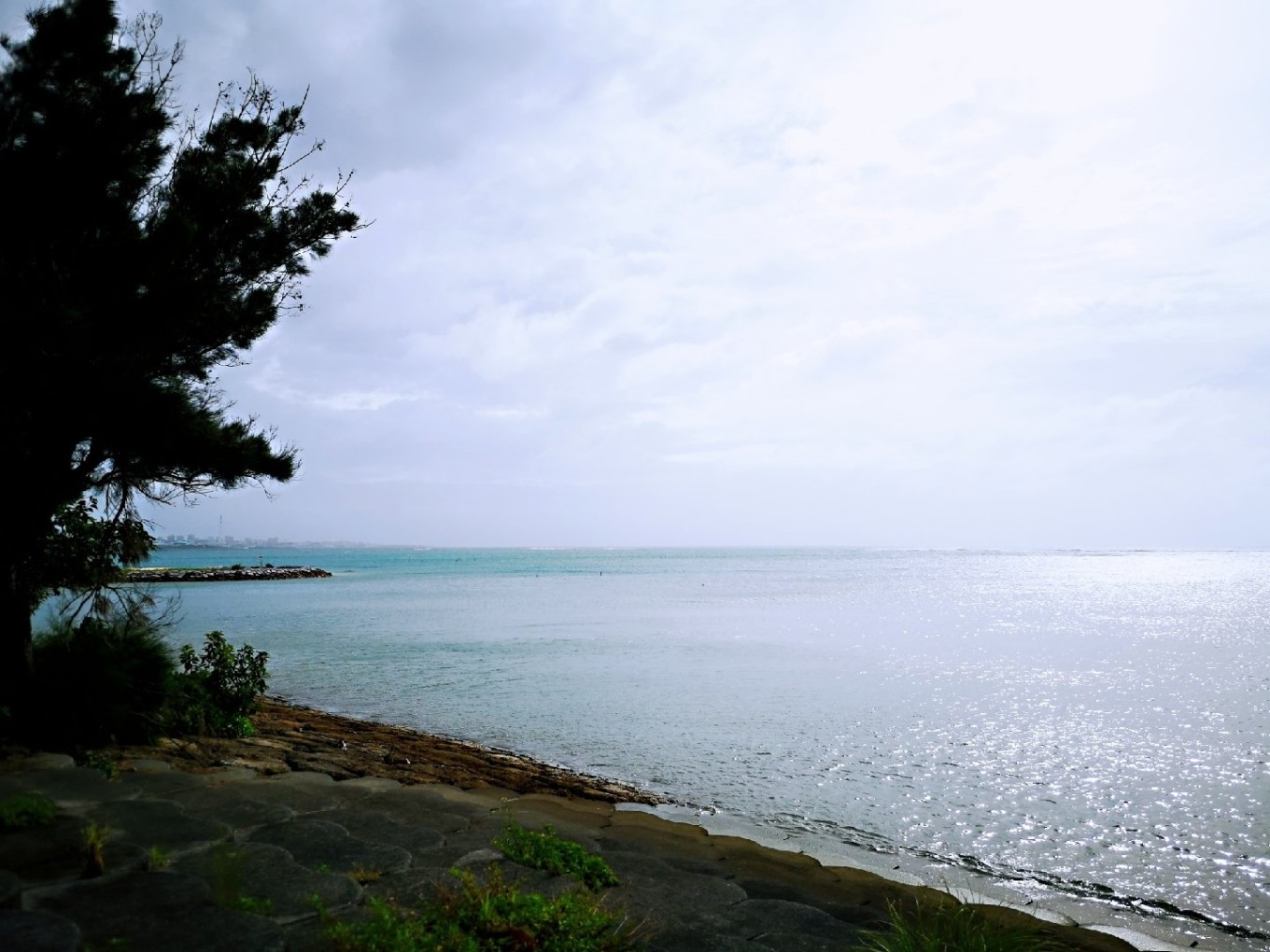 暑期档2019年,2019年暑期档