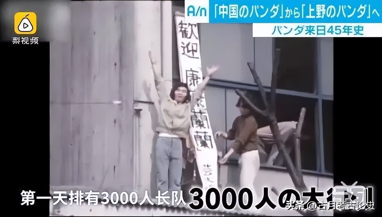 旅日大熊猫回国日本人反应,四只旅日大熊猫陆续归国