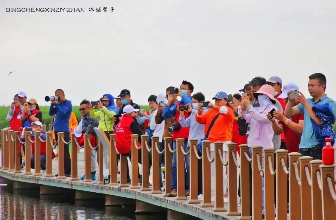 醉美G331黑龙江段自驾春游线路,g331东北大环线自驾游