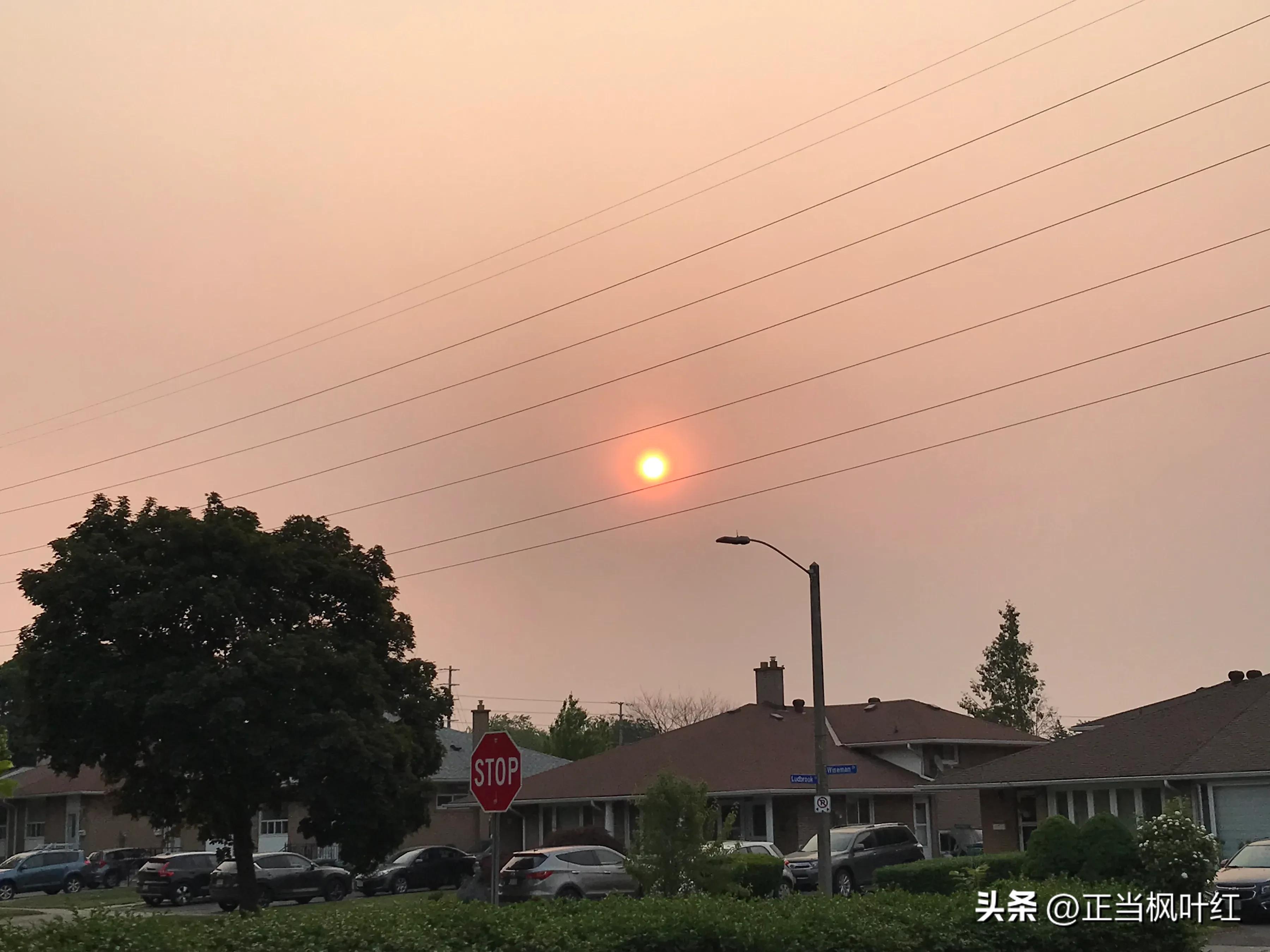 世界第三差！多伦多空气污染超过所有中国污染城市
