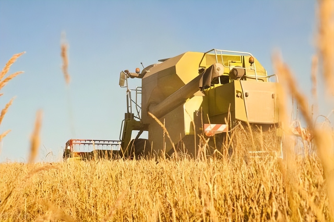 打脸日本农业：农药大国，净收入减半，神化背后到底为啥？