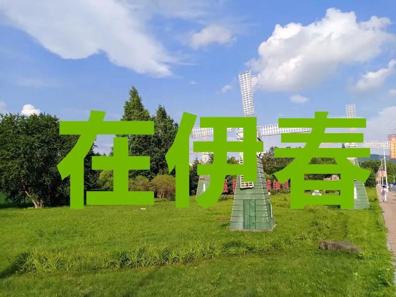 #2021年城事#「在伊春」旅游小火车开了