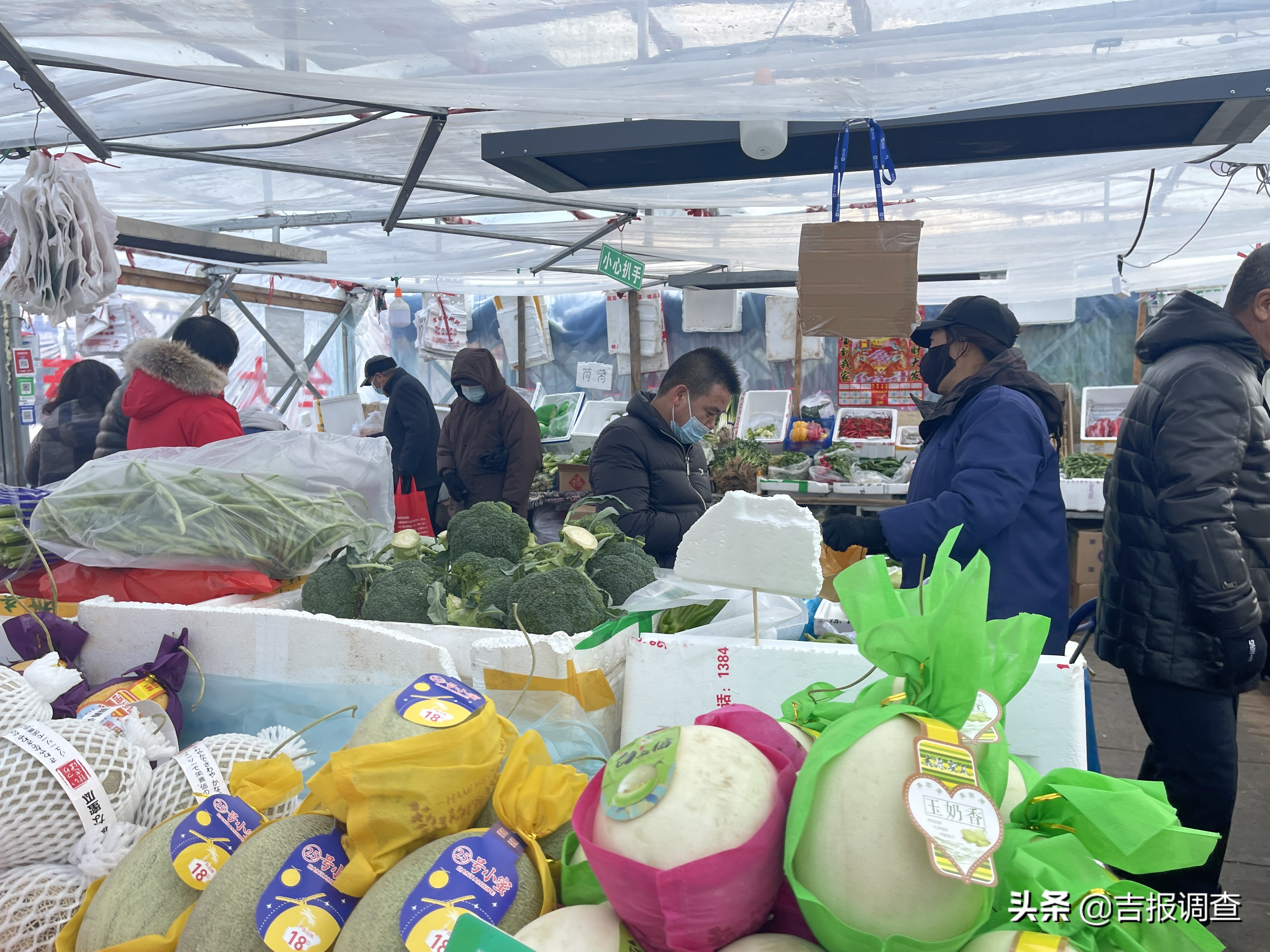 长春农贸批发市场改造,长春菜市场改造方案