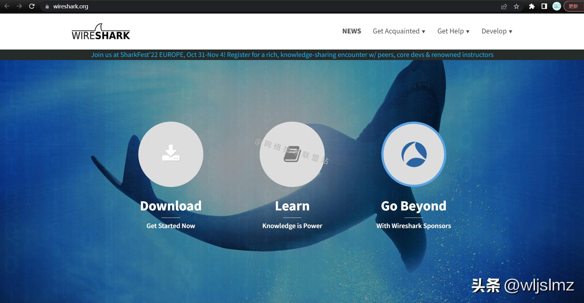 国内流行的抓包工具,抓包工具wireshark数据分析