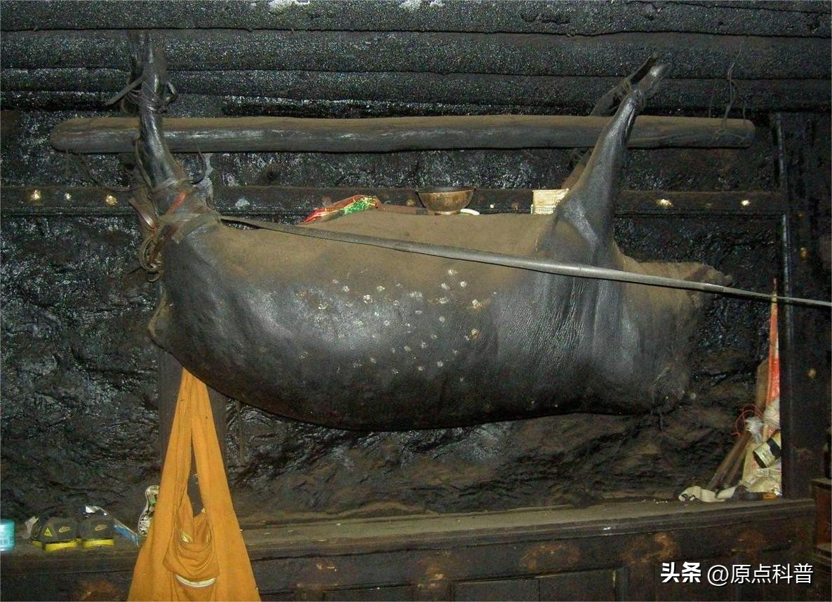 有哪些特色美食只有当地人才知道,全国各地的奇葩美食