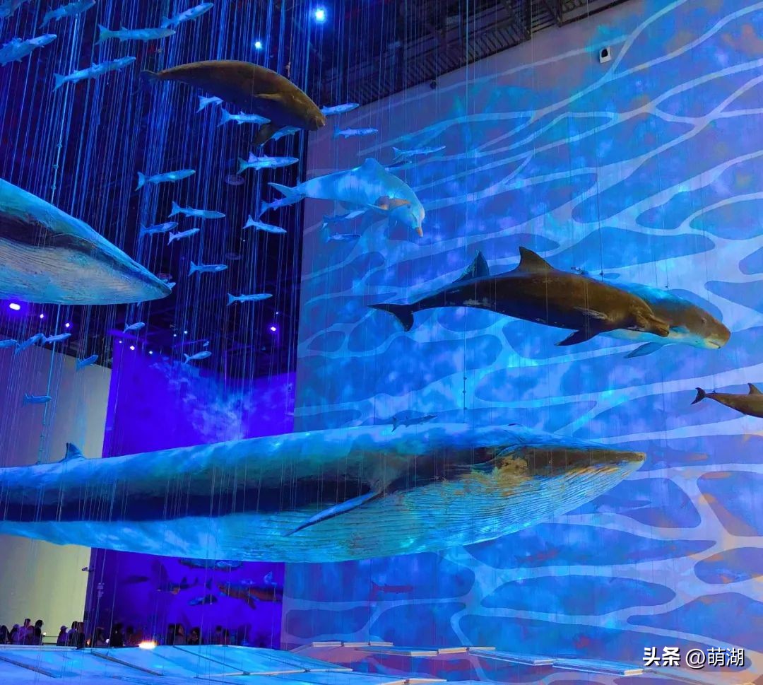 夏天去广州旅游攻略一天,广州旅游攻略一天一夜自由行