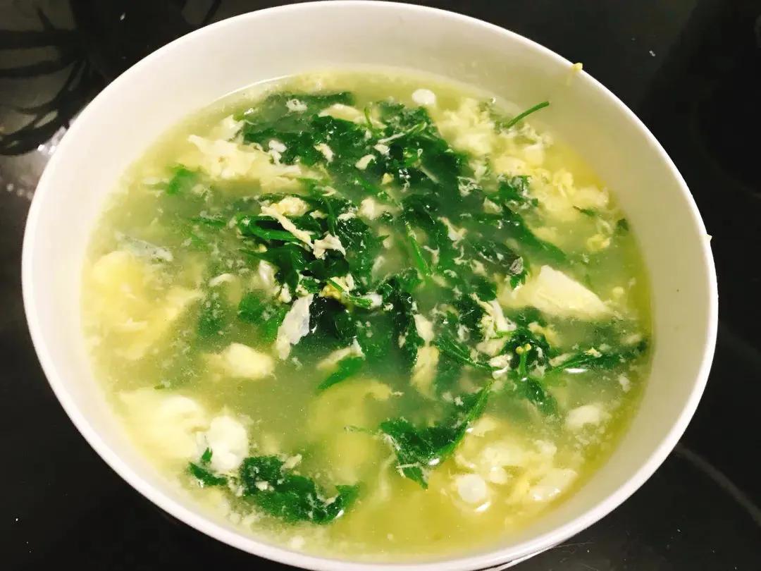 南京菊花脑是啥,南京的菊花脑是几月出来的