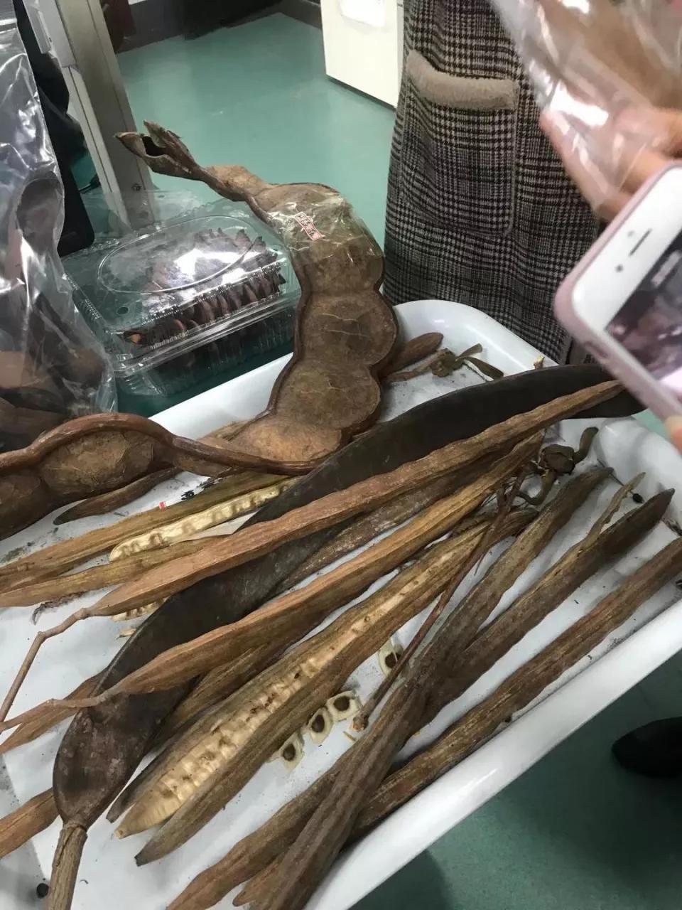 科技体验研学,科技研学课