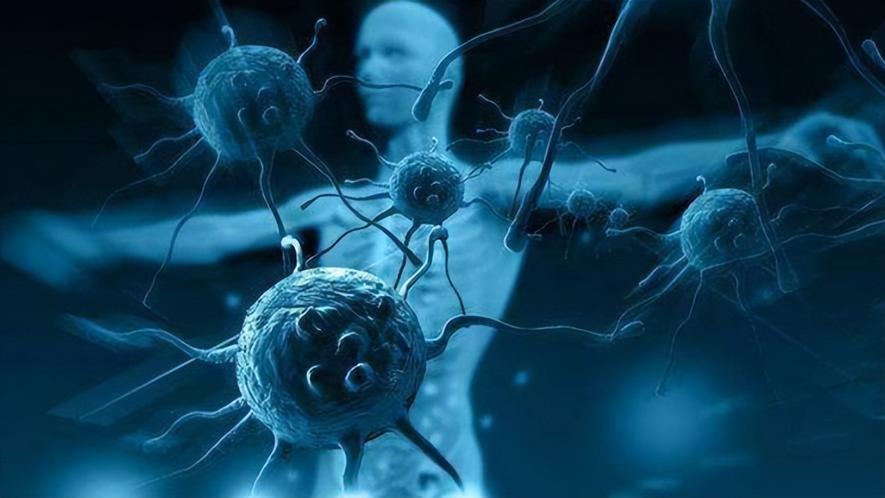 断食三天可重启免疫系统,断食两天便能重启免疫系统