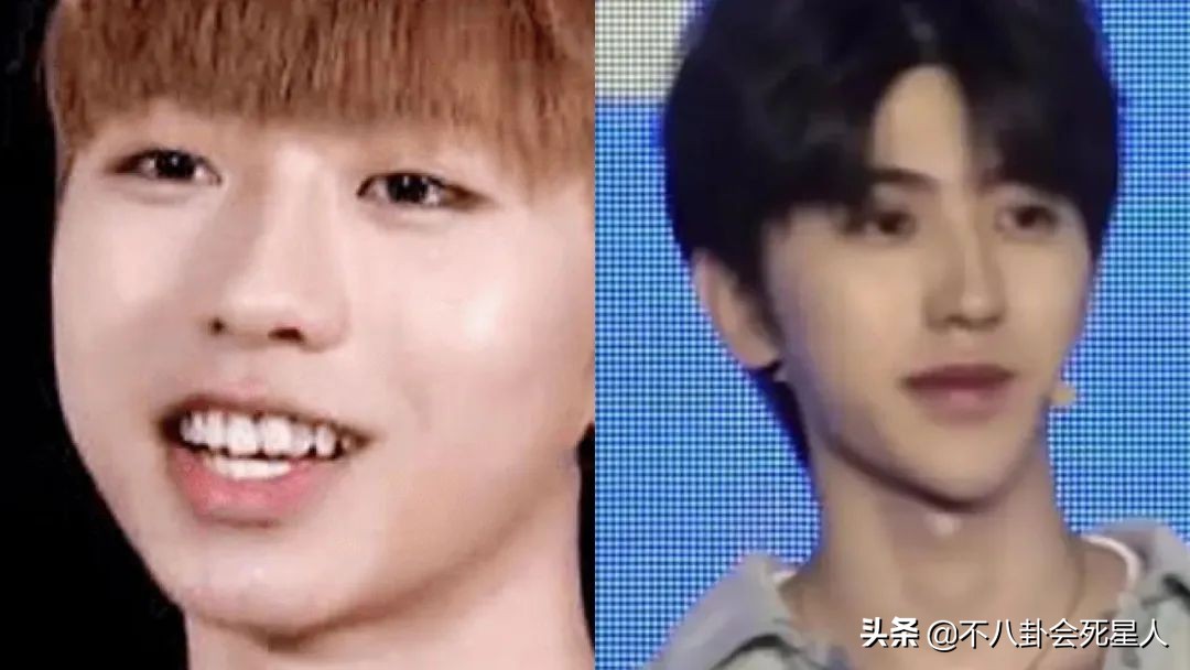 假头发假鼻子,假头发和假肚皮