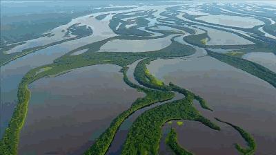 植树为什么可以防止水土流失,植树造林能缓解气候变暖吗