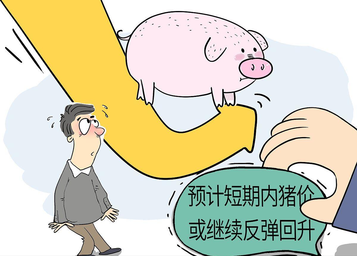 猪价6连涨预示什么,六连板放量上涨