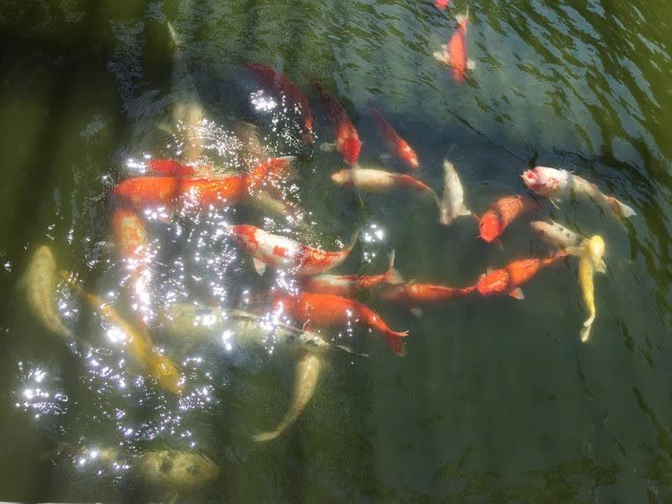 传承宁波帮精神,宁波帮博物馆值得去吗