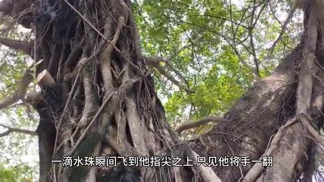 神秘的老者免费小说,神秘老者出现小说