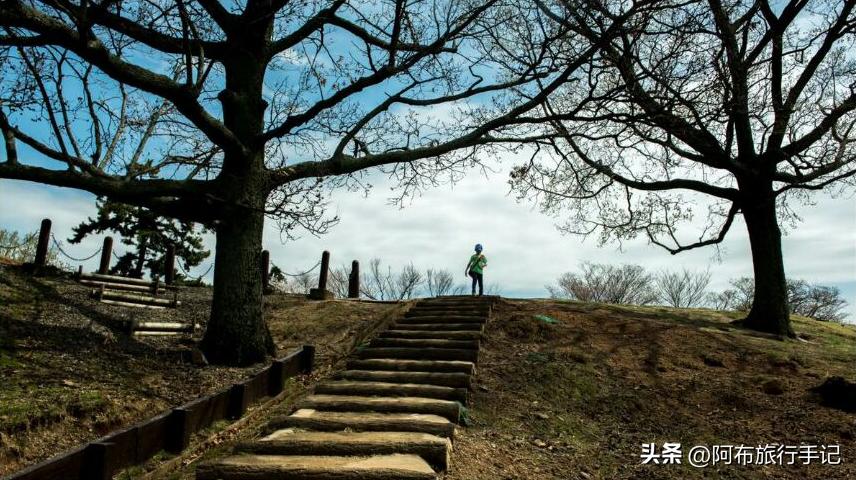 日本内秀之城，奈良好不好，过夜细品更有发言权