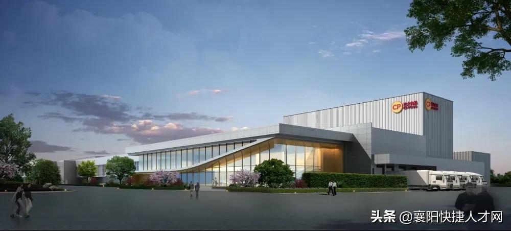 涓婃捣姝ｅぇ椋熷搧涓婄彮寰呴亣,姝ｅぇ椋熷搧涓婄彮寰呴亣