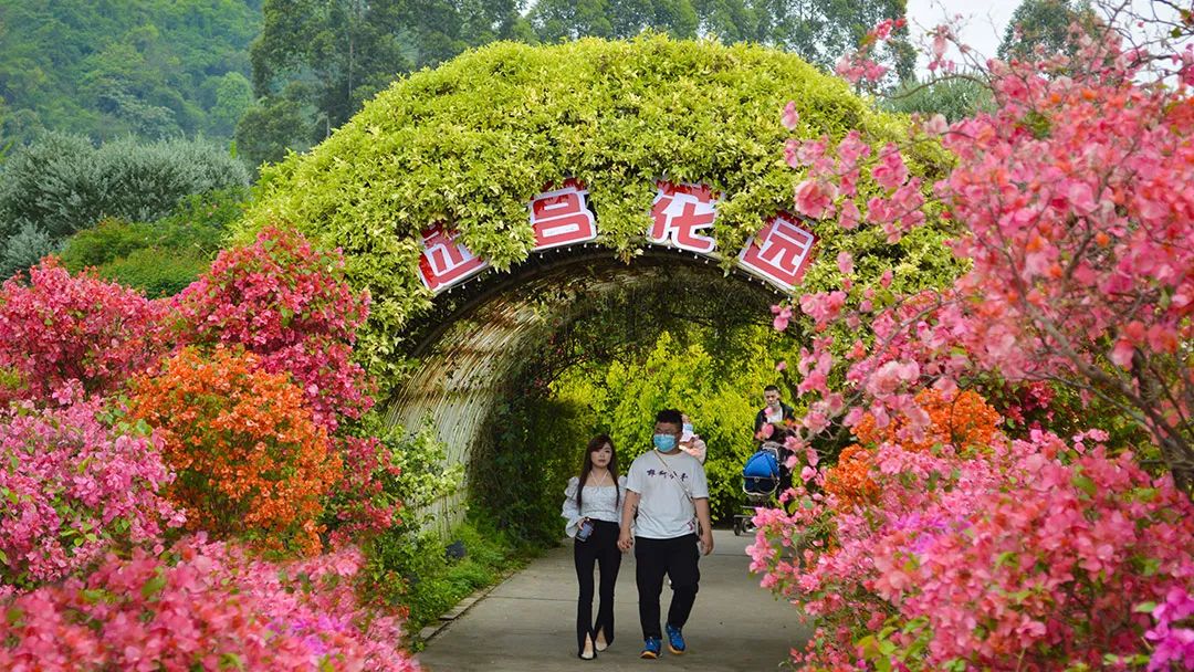 花卡特惠,新春钜惠不容错过