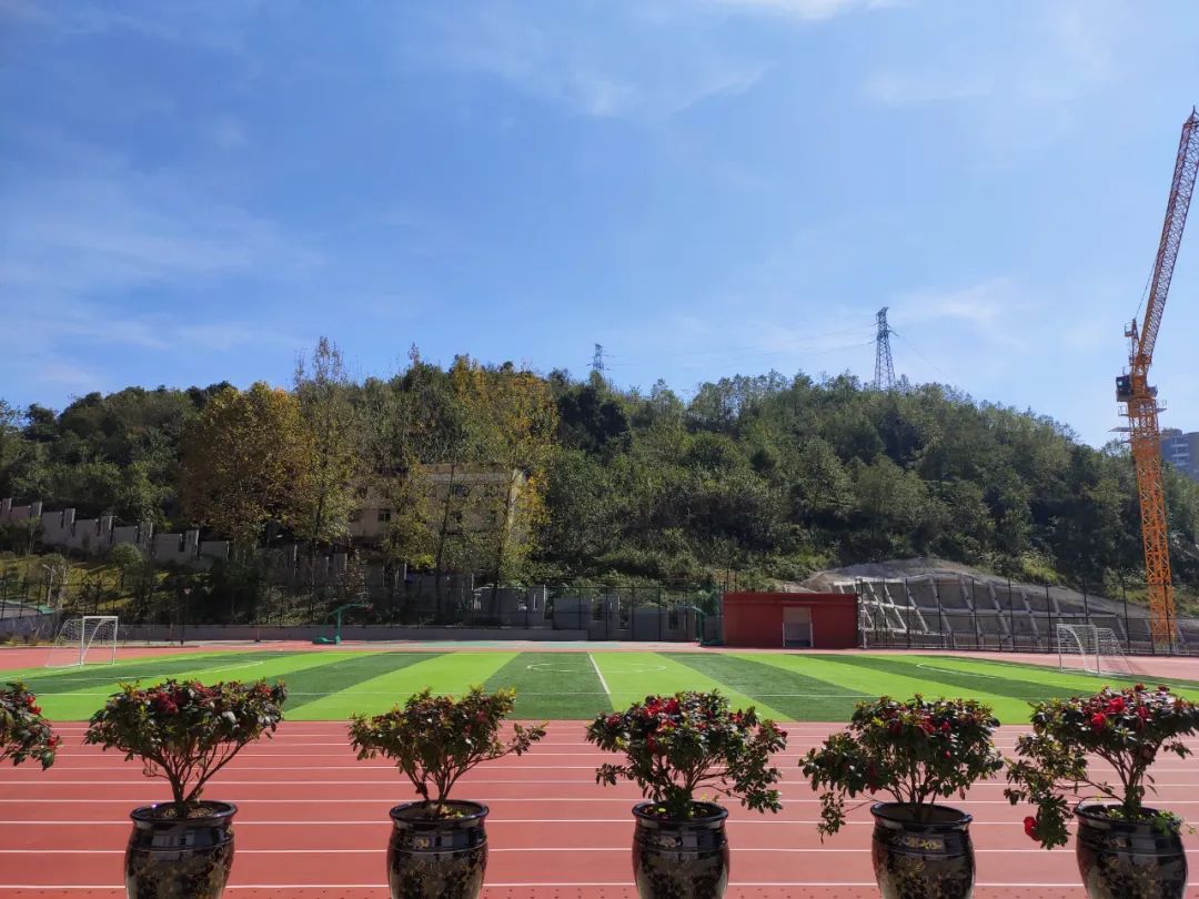 人造草案例|贵州景怡苑东区中小学