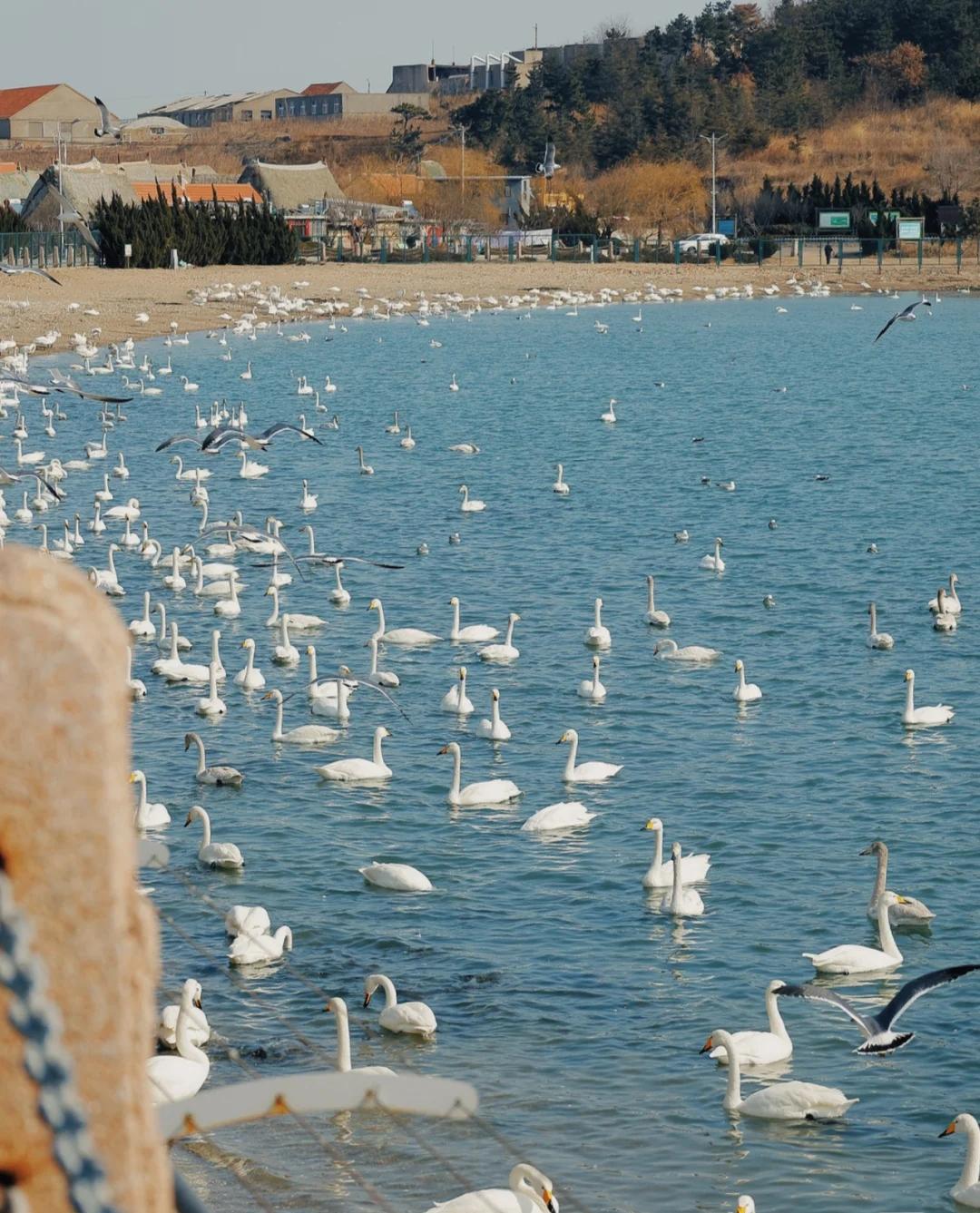 泰国穷游要多少钱,去泰国穷游多少钱