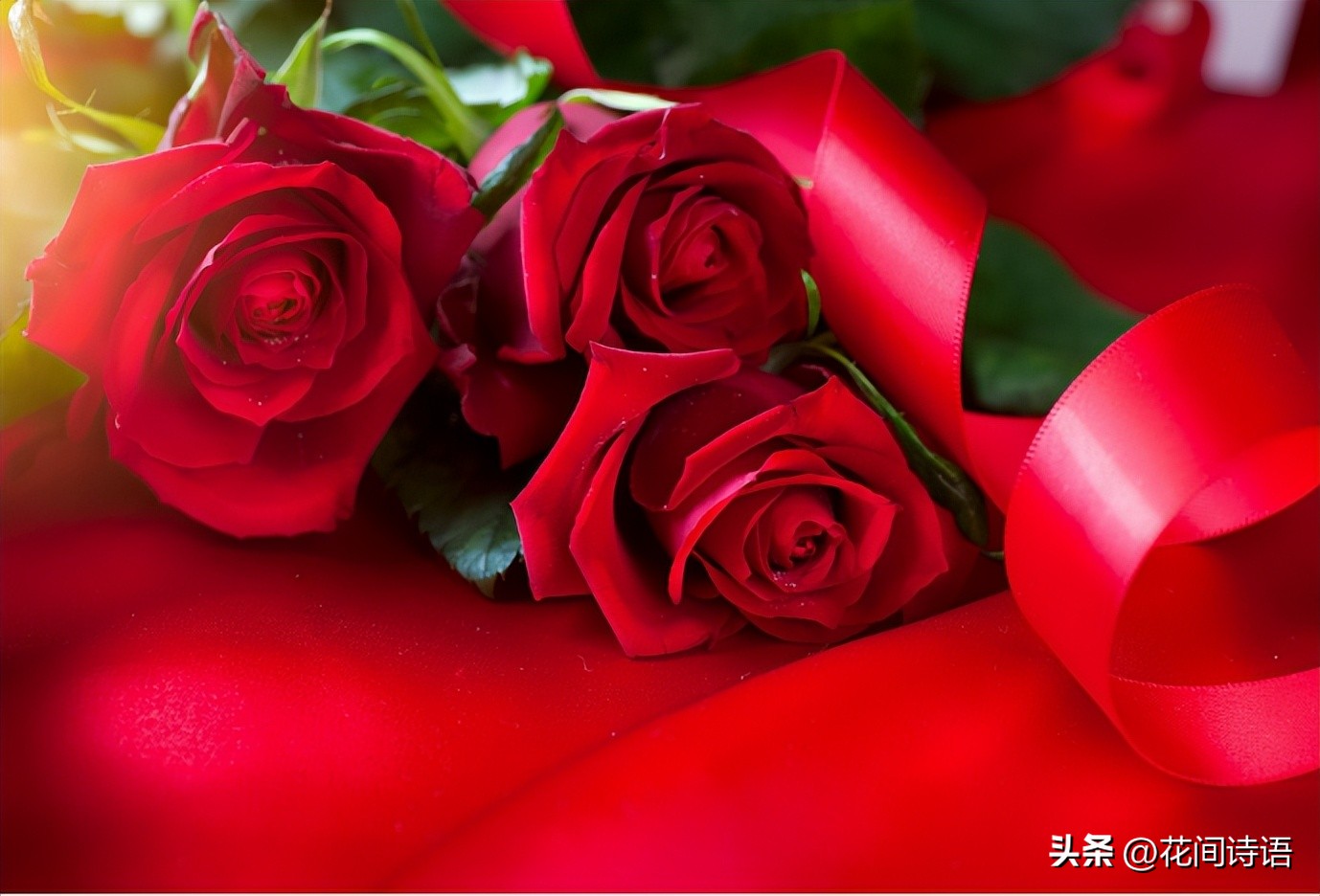 520送什么鲜花最好看,520送鲜花和什么花合适