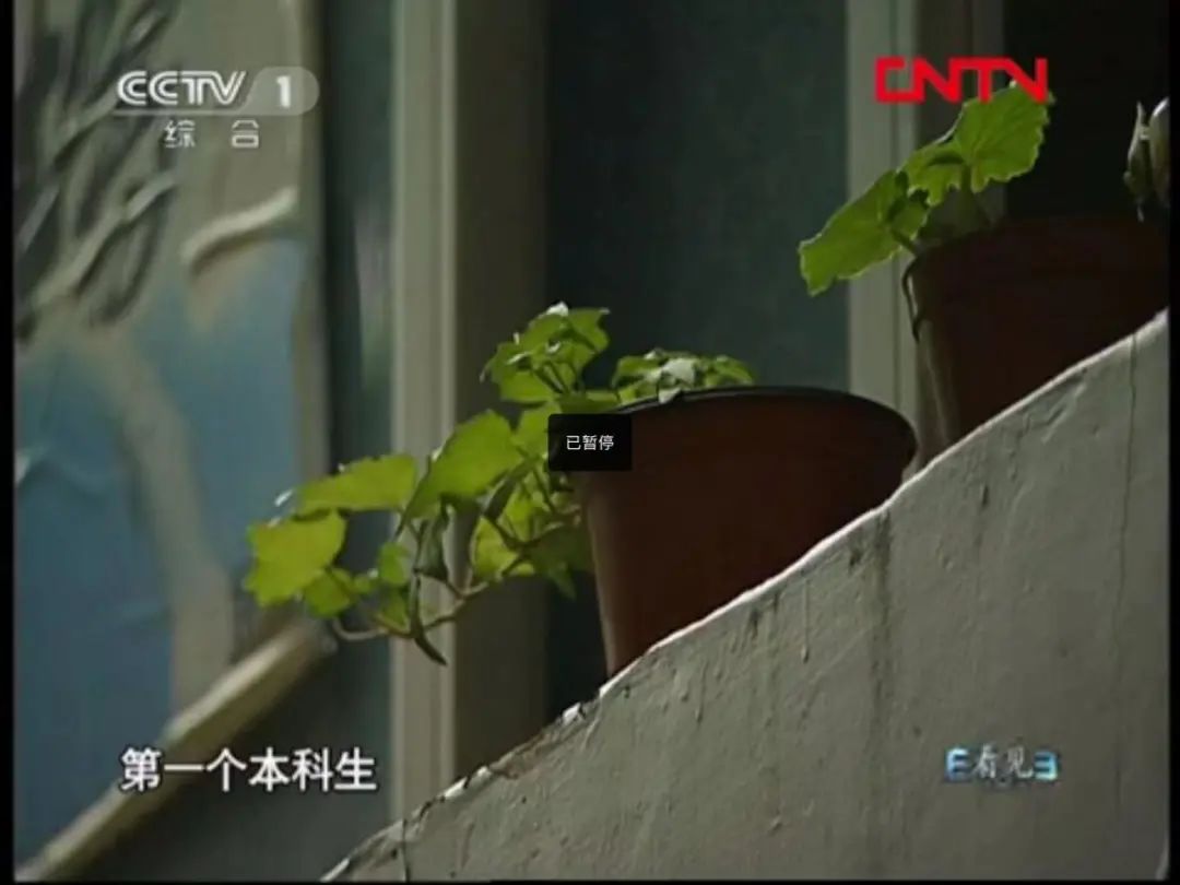 25岁小伙子网游成瘾,大学生沉迷于网游与家里断绝关系