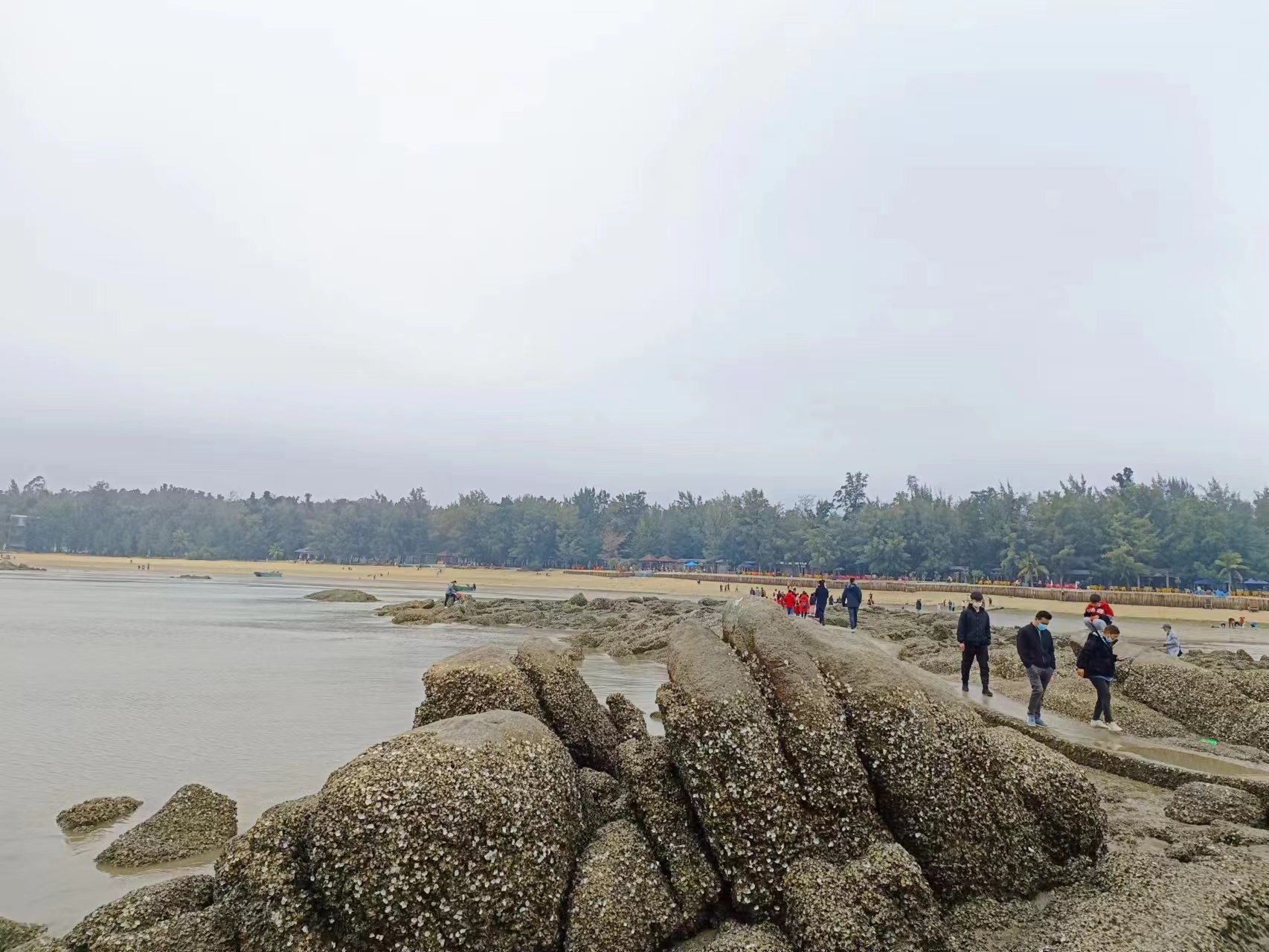 缤果预售价和实际价格,缤果有木有降价