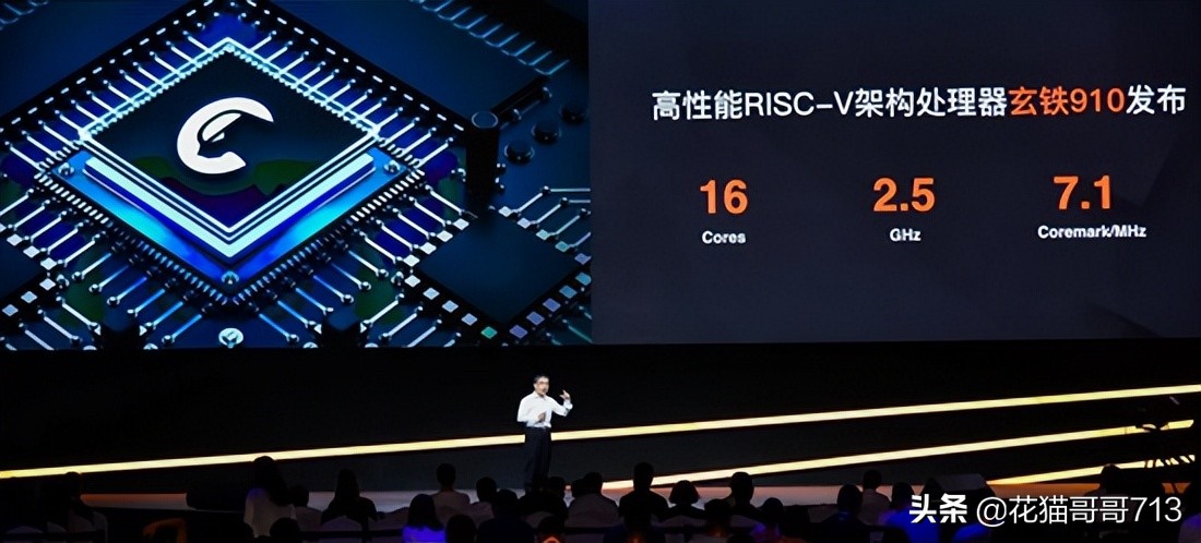 猫哥俄罗斯,猫哥在俄罗斯最新视频