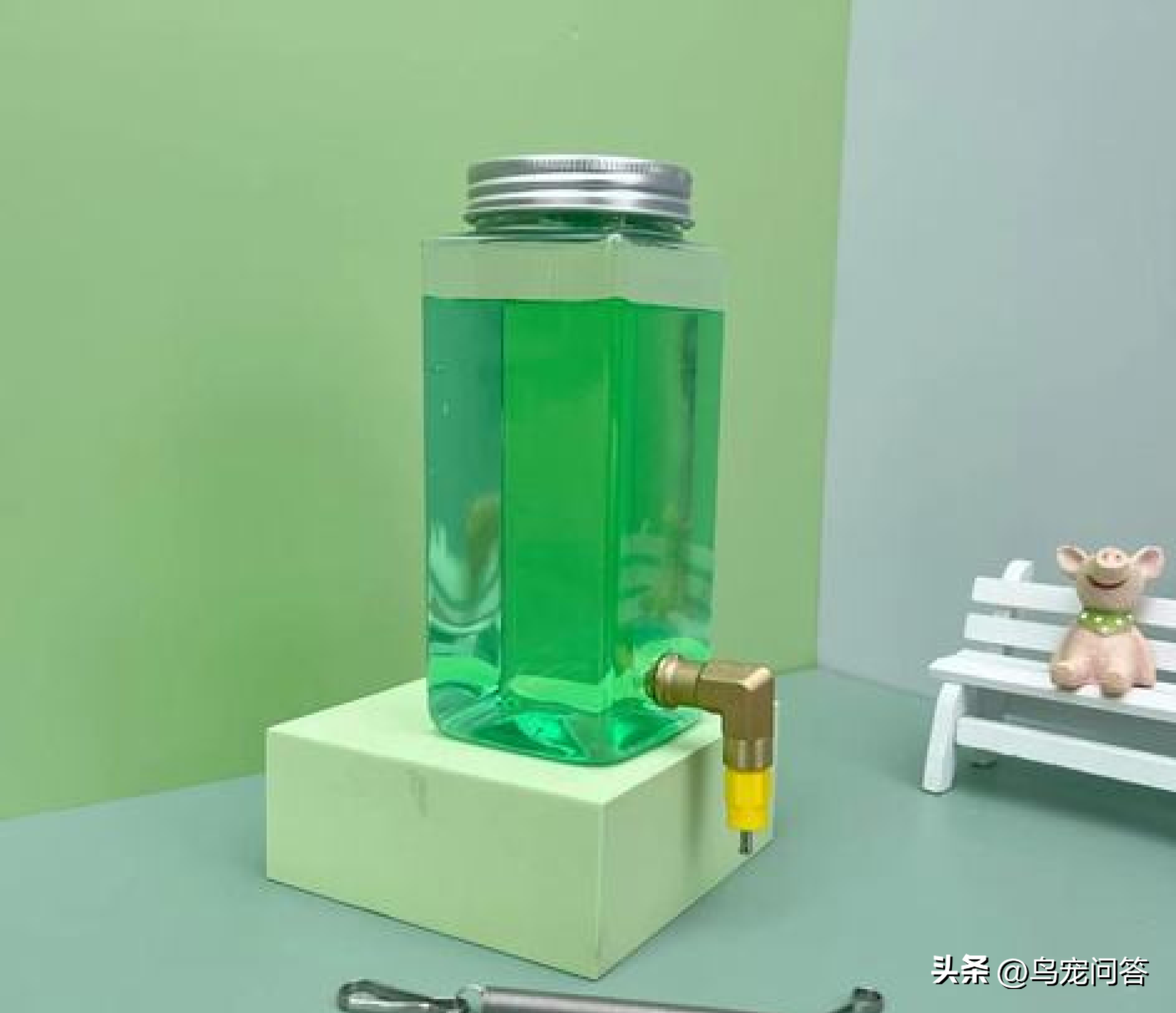 虎皮鹦鹉神仙水,鹦鹉用什么水最好