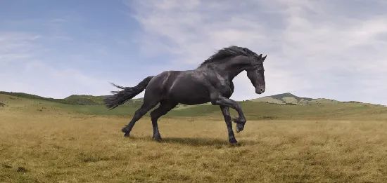 monzo银行卡申请攻略,英国银行选择及开户指南