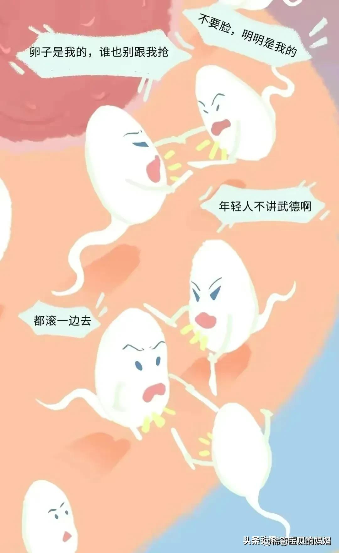 男生的“精子”进入女生体内，会发生怎样的变化？