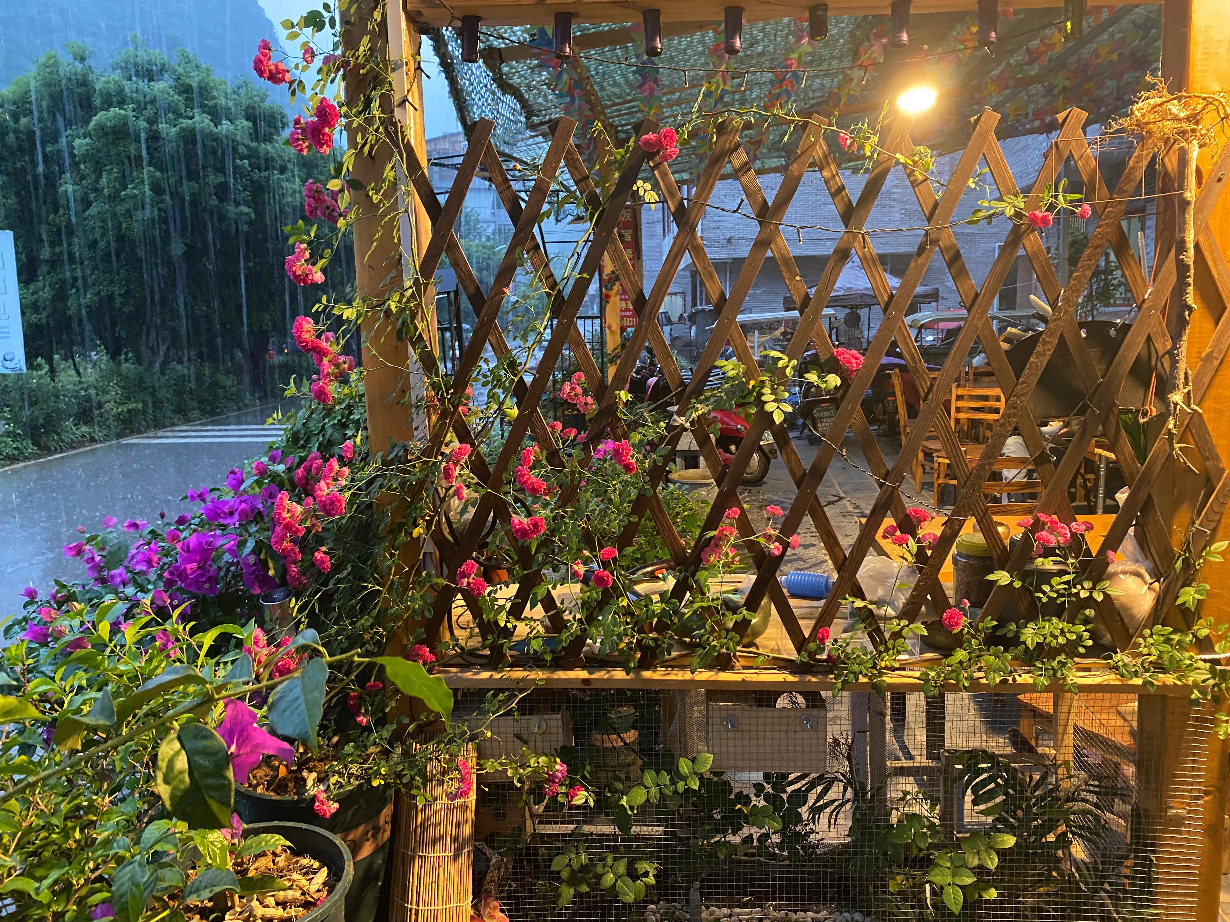 如何打造一个四季有景的庭院花园,如何打造一个四季花开的庭院