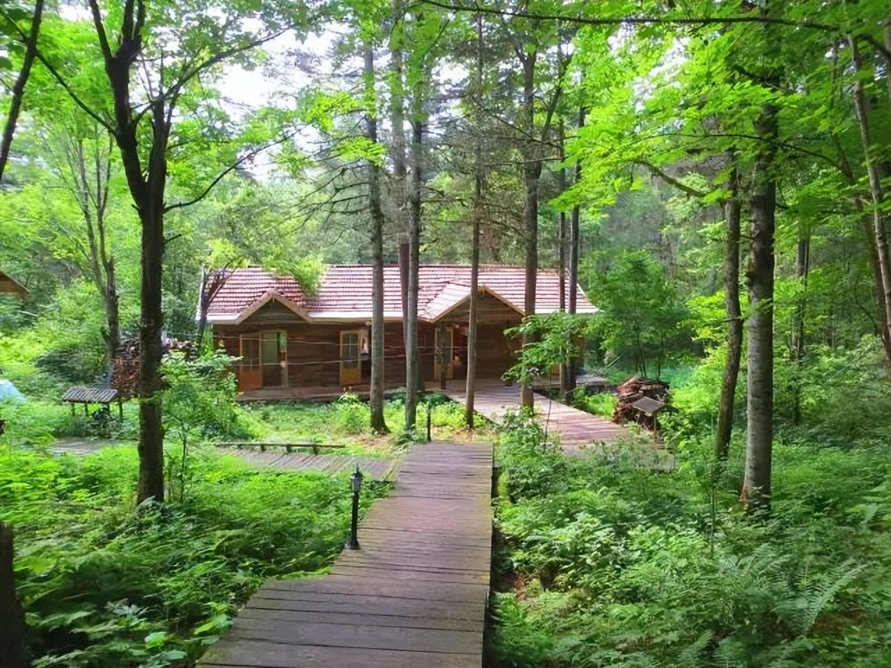 黑龙江省内自驾旅游线路推荐,黑龙江附近沿海城市开车自驾