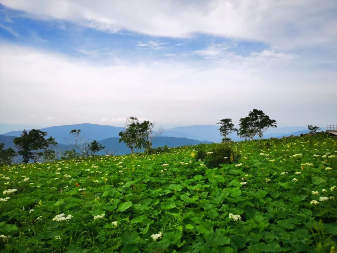凤凰山旅游景区门票优惠政策最新,凤凰山景区2022年五一优惠政策