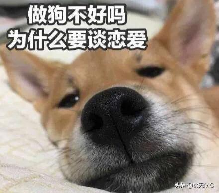 男人一辈子不结婚的生活,男人一辈子不恋爱会怎么样