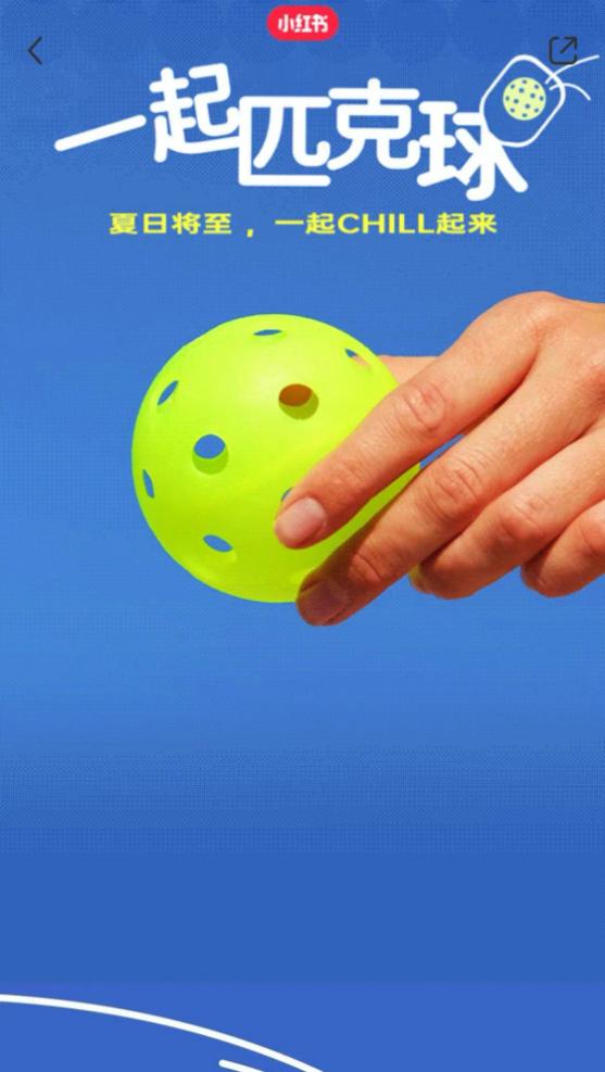 飞盘圈现状,飞盘的发展现状