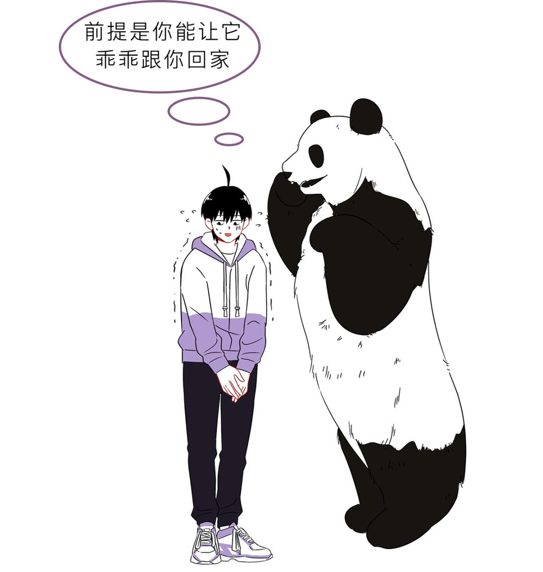 被峨眉山猴子打可以反击吗,峨眉山猴子被人类反杀