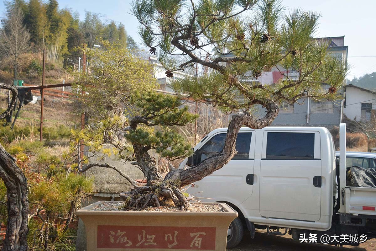 农村普通人做生意,农村人做点小生意不容易啊