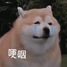 全屋定制没有纯色怎么选,全屋定制怎么选注意这几点少踩坑