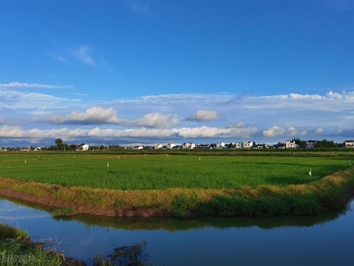 高利润小本创业项目,高利润小本生意创业项目