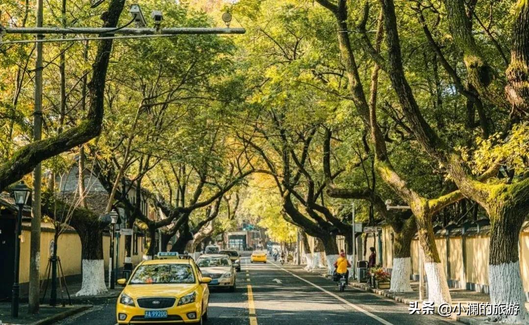 南京最富盛名的旅游胜地,南京最值得去的十大历史文化景点