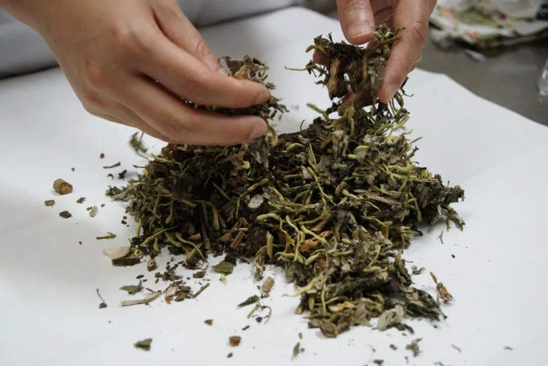 蛊婆、仙娘、草药师大对决，迷信还是本事？揭秘湘西“巫蛊之术”