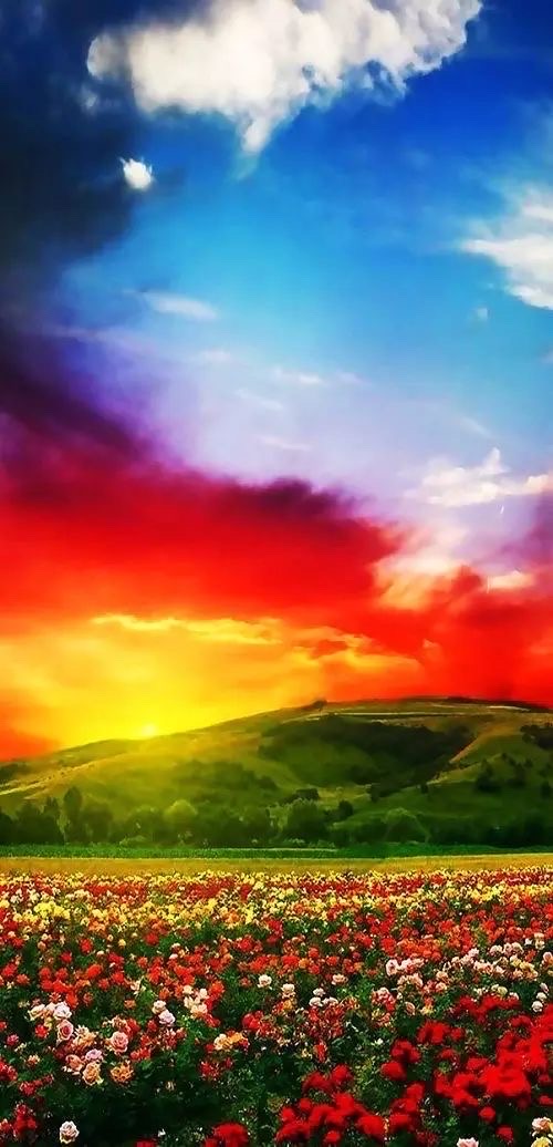 高高的紫云山,我们的青春故事曾在这里演绎