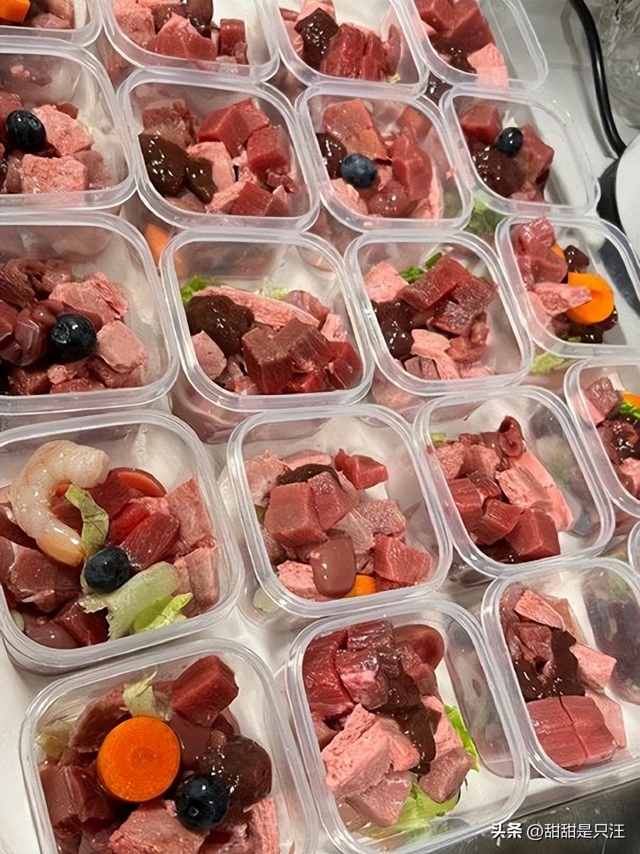 猫咪不喝水？教你10招骗水小技巧