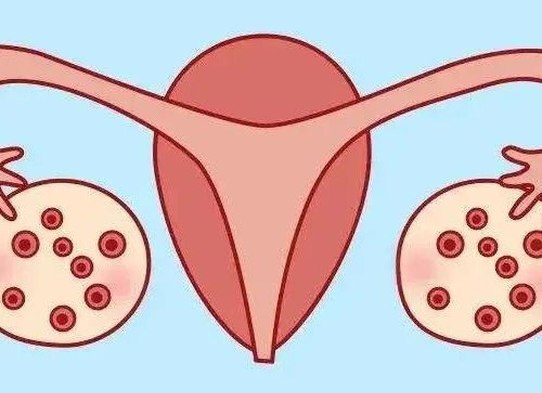 注射乐得宝一天卵泡可以长多少,乐得宝是长卵泡的吗